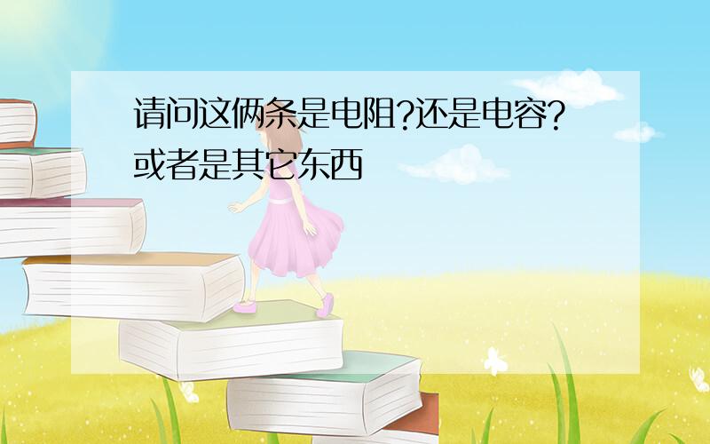 请问这俩条是电阻?还是电容?或者是其它东西