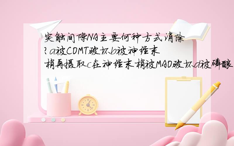 突触间隙NA主要何种方式消除?a被COMT破坏b被神经末梢再摄取c在神经末梢被MAO破坏d被磷酸二酯酶破坏e被络氨酸羟化酶破坏