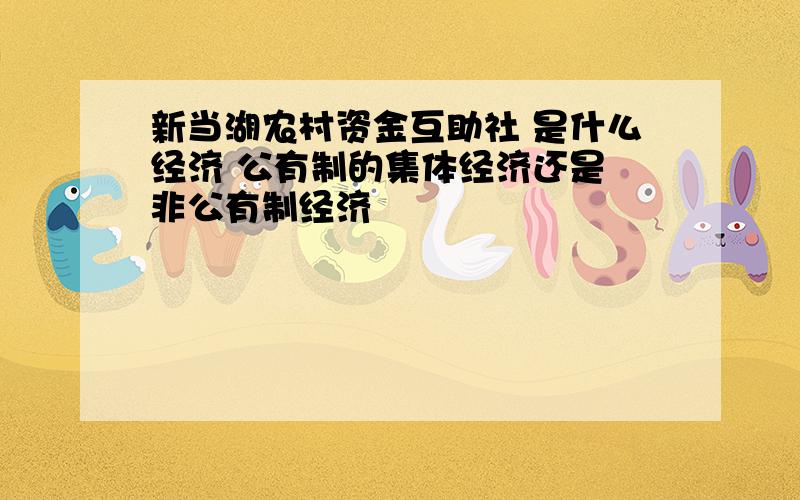 新当湖农村资金互助社 是什么经济 公有制的集体经济还是 非公有制经济