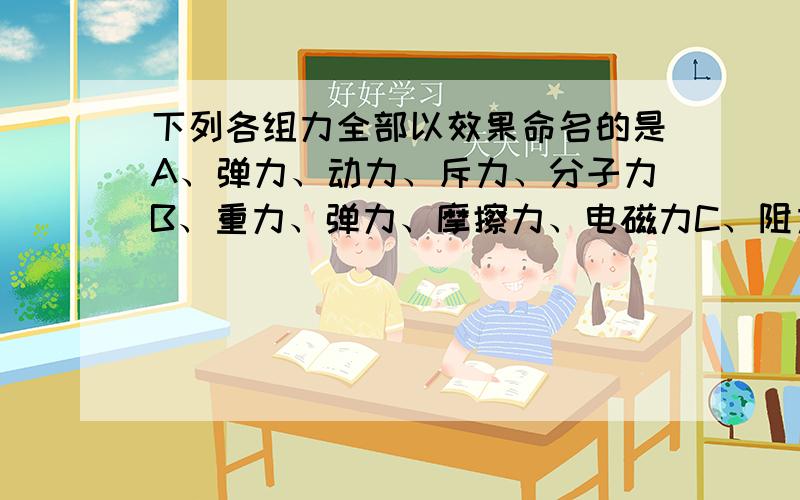 下列各组力全部以效果命名的是A、弹力、动力、斥力、分子力B、重力、弹力、摩擦力、电磁力C、阻力、磁力、动力、支持力D、压力、拉力、牵引力、浮力最开始我选的是C和D但是答案上只