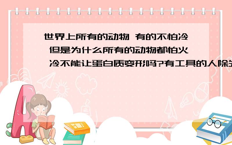 世界上所有的动物 有的不怕冷 但是为什么所有的动物都怕火 冷不能让蛋白质变形吗?有工具的人除外