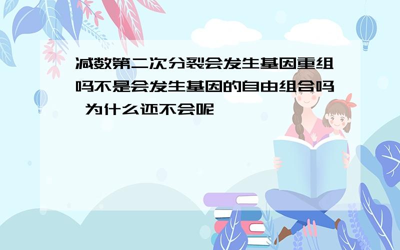 减数第二次分裂会发生基因重组吗不是会发生基因的自由组合吗 为什么还不会呢