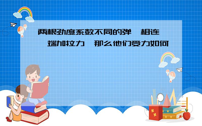 两根劲度系数不同的弹簧相连,一端加拉力,那么他们受力如何