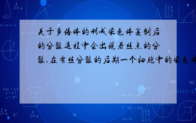 关于多倍体的形成染色体复制后的分裂过程中会出现着丝点的分裂,在有丝分裂的后期一个细胞中的染色体数目和着丝点数目都是普通细胞中染色体数目的两倍 多倍体形成时,在有丝分裂后期,