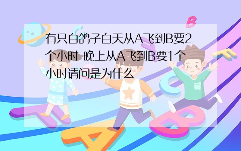 有只白鸽子白天从A飞到B要2个小时 晚上从A飞到B要1个小时请问是为什么