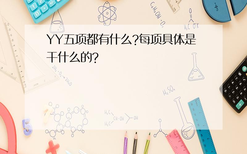 YY五项都有什么?每项具体是干什么的?