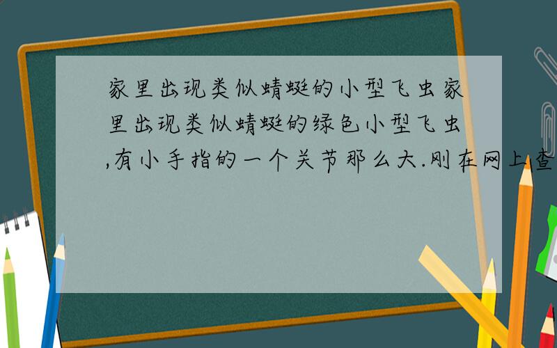 家里出现类似蜻蜓的小型飞虫家里出现类似蜻蜓的绿色小型飞虫,有小手指的一个关节那么大.刚在网上查了一下,有的说那个叫豆娘.生活在山川水域附近.下午发现的,打死了一个.晚上到家 发