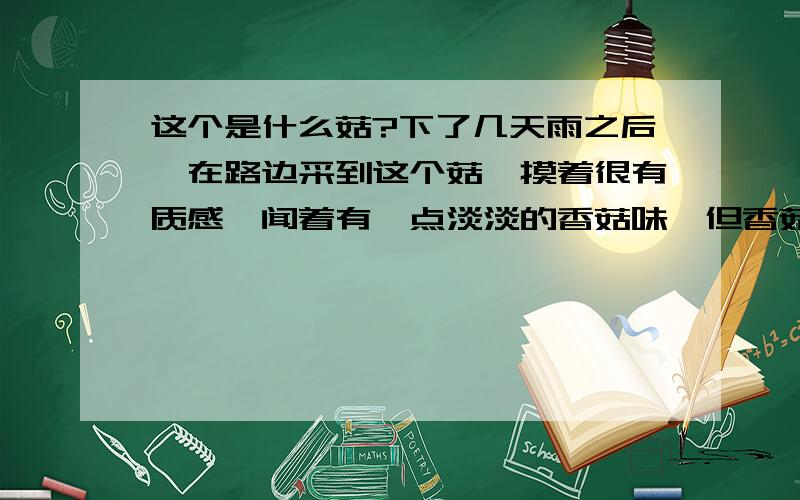 这个是什么菇?下了几天雨之后,在路边采到这个菇,摸着很有质感,闻着有一点淡淡的香菇味,但香菇长的又不一样.