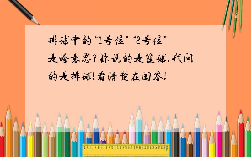 排球中的“1号位”“2号位”是啥意思?你说的是篮球,我问的是排球!看清楚在回答!