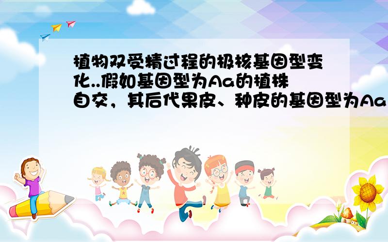 植物双受精过程的极核基因型变化..假如基因型为Aa的植株自交，其后代果皮、种皮的基因型为Aa与母本相同，胚的基因型有3种AA、Aa、aa也能理解，关键是为什么胚乳（受精极核）的基因型有