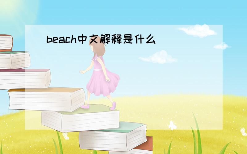 beach中文解释是什么