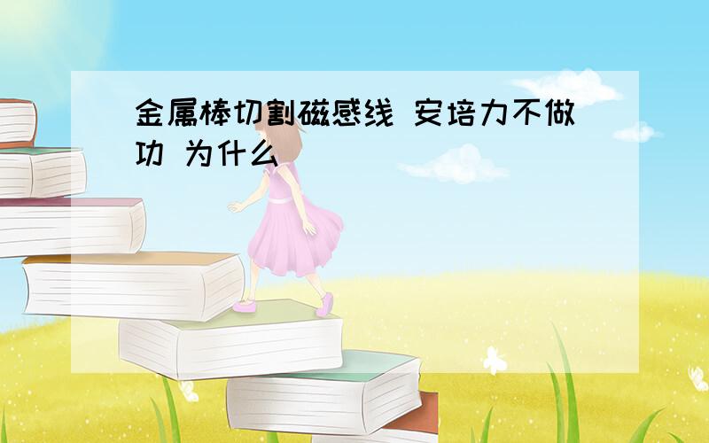 金属棒切割磁感线 安培力不做功 为什么