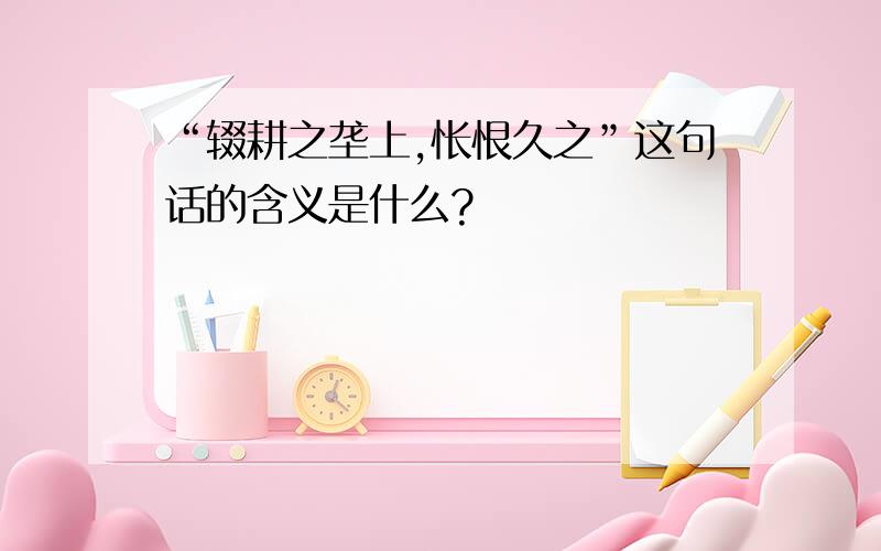 “辍耕之垄上,怅恨久之”这句话的含义是什么?