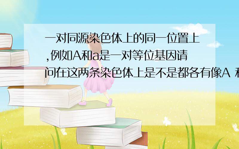 一对同源染色体上的同一位置上,例如A和a是一对等位基因请问在这两条染色体上是不是都各有像A 和a 这样的基因型那?