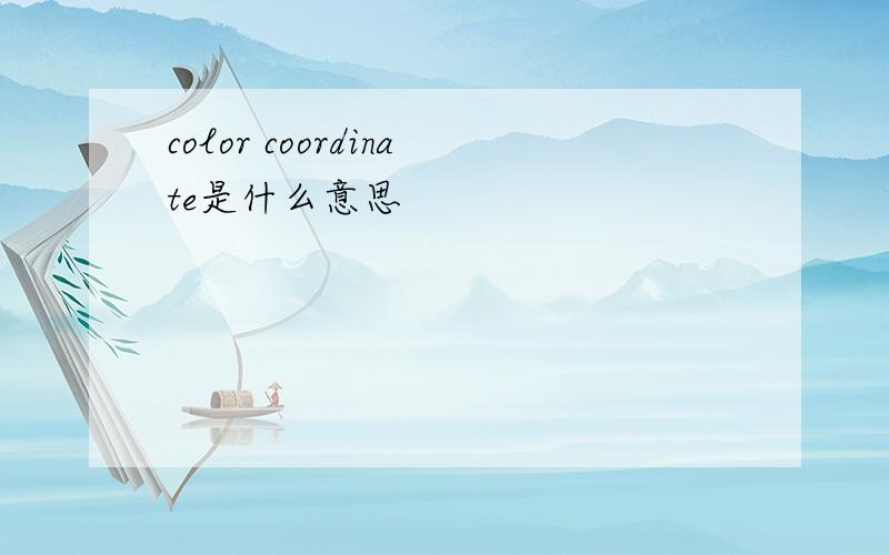 color coordinate是什么意思