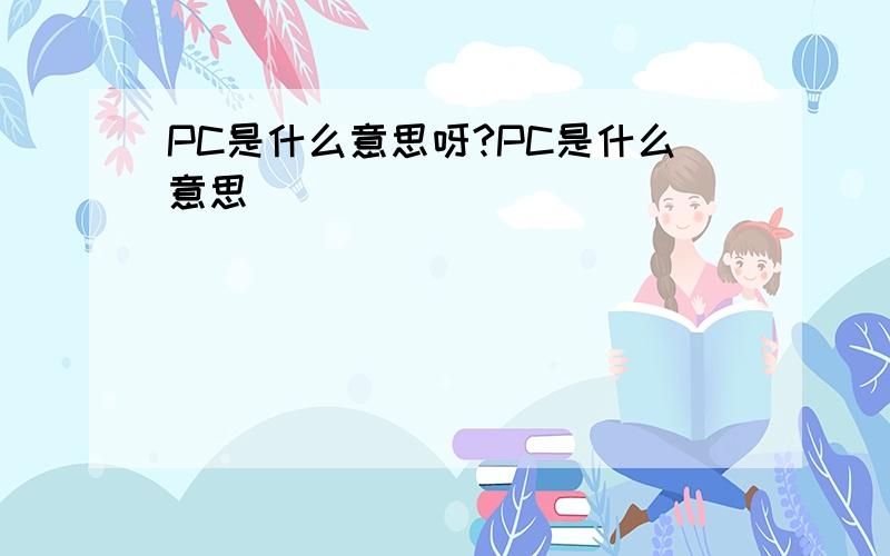 PC是什么意思呀?PC是什么意思