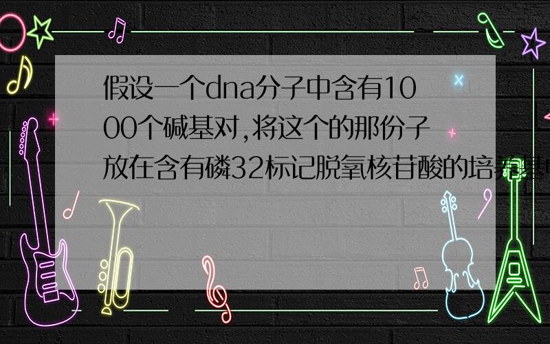 假设一个dna分子中含有1000个碱基对,将这个的那份子放在含有磷32标记脱氧核苷酸的培养基中让其复制一次,那么新形成的dna分子相对质量比原来增加了.1000.为什么?怎么算.