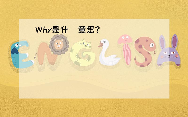 Why是什麼意思?