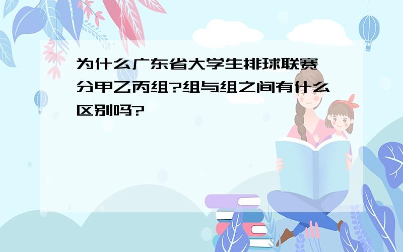 为什么广东省大学生排球联赛 分甲乙丙组?组与组之间有什么区别吗?