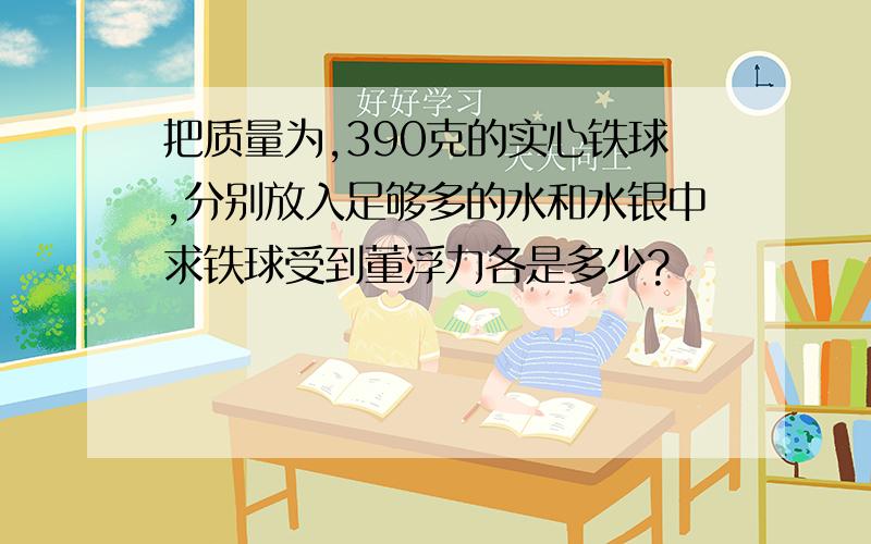 把质量为,390克的实心铁球,分别放入足够多的水和水银中求铁球受到董浮力各是多少?