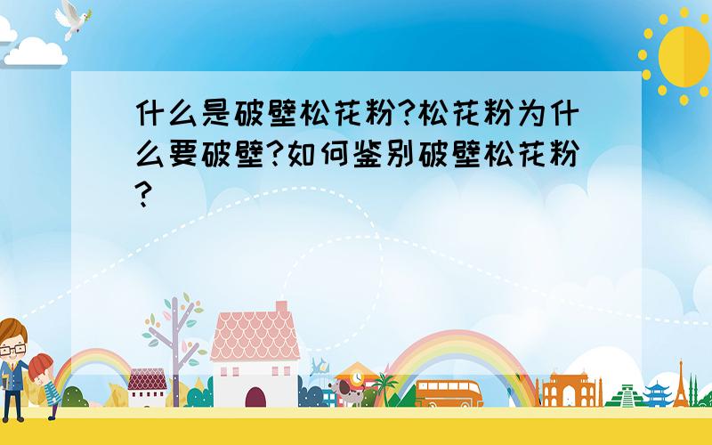 什么是破壁松花粉?松花粉为什么要破壁?如何鉴别破壁松花粉?