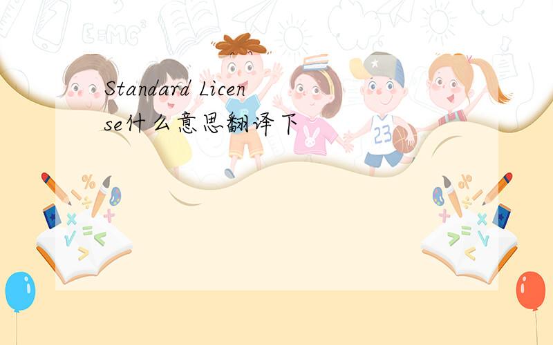 Standard License什么意思翻译下