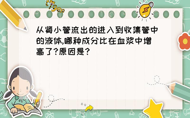 从肾小管流出的进入到收集管中的液体,哪种成分比在血浆中增高了?原因是?