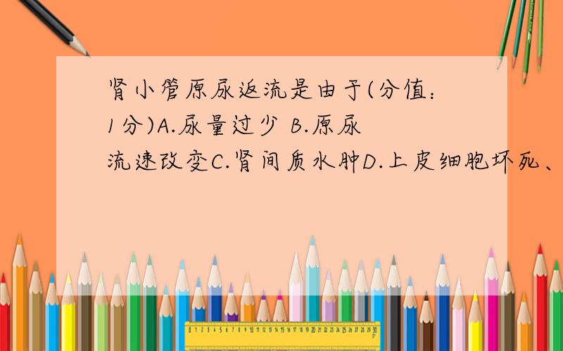 肾小管原尿返流是由于(分值：1分)A.尿量过少 B.原尿流速改变C.肾间质水肿D.上皮细胞坏死、脱落E.肾小管阻塞