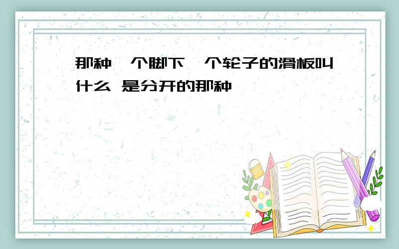 那种一个脚下一个轮子的滑板叫什么 是分开的那种