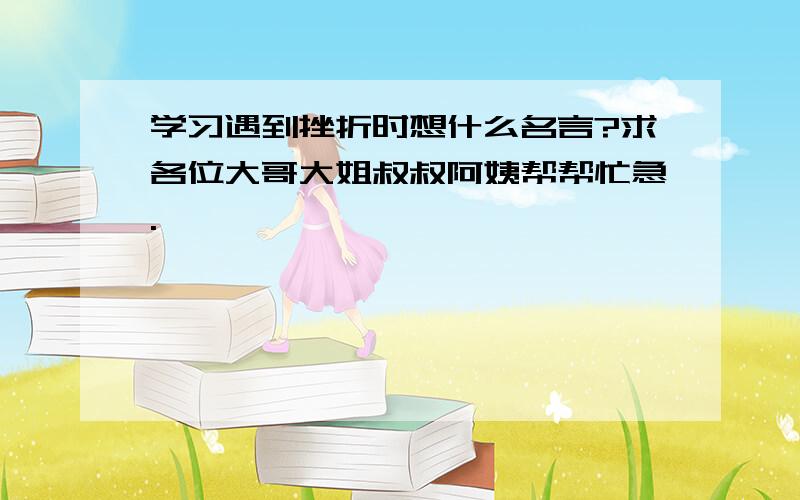 学习遇到挫折时想什么名言?求各位大哥大姐叔叔阿姨帮帮忙急.