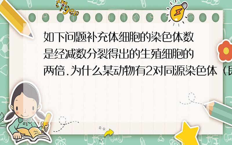 如下问题补充体细胞的染色体数是经减数分裂得出的生殖细胞的两倍.为什么某动物有2对同源染色体（即4条染色体）该动物体细胞中染色体数目最多为4条 为什么是错的?