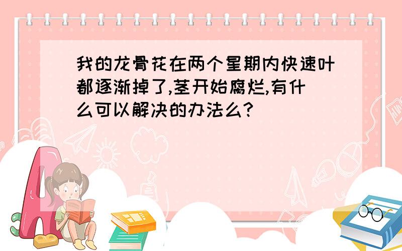 我的龙骨花在两个星期内快速叶都逐渐掉了,茎开始腐烂,有什么可以解决的办法么?