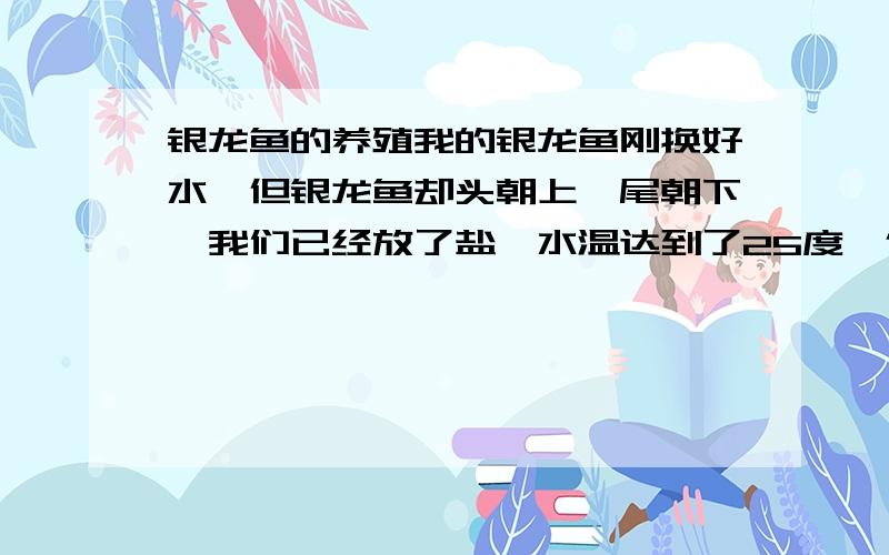 银龙鱼的养殖我的银龙鱼刚换好水,但银龙鱼却头朝上,尾朝下,我们已经放了盐,水温达到了25度,但是鱼还没有好转,却有死的迹象,该怎么办?