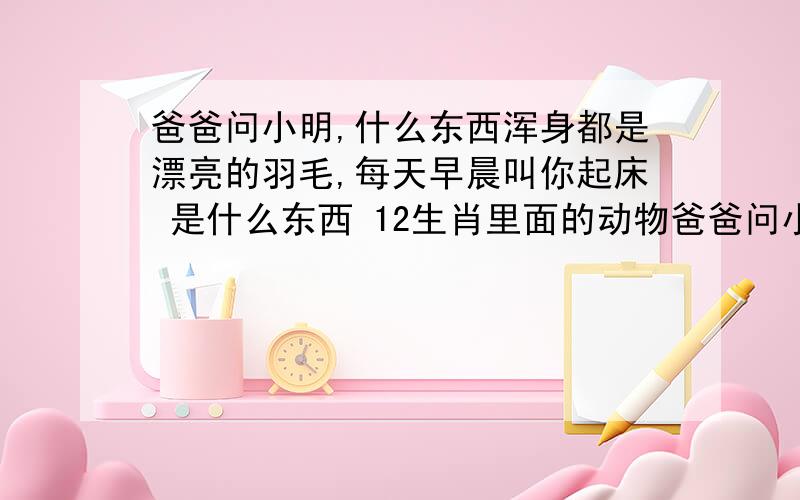 爸爸问小明,什么东西浑身都是漂亮的羽毛,每天早晨叫你起床 是什么东西 12生肖里面的动物爸爸问小明,什么东西浑身都是漂亮的羽毛,每天早晨叫你起床 是什么东西 12生肖里面的动物