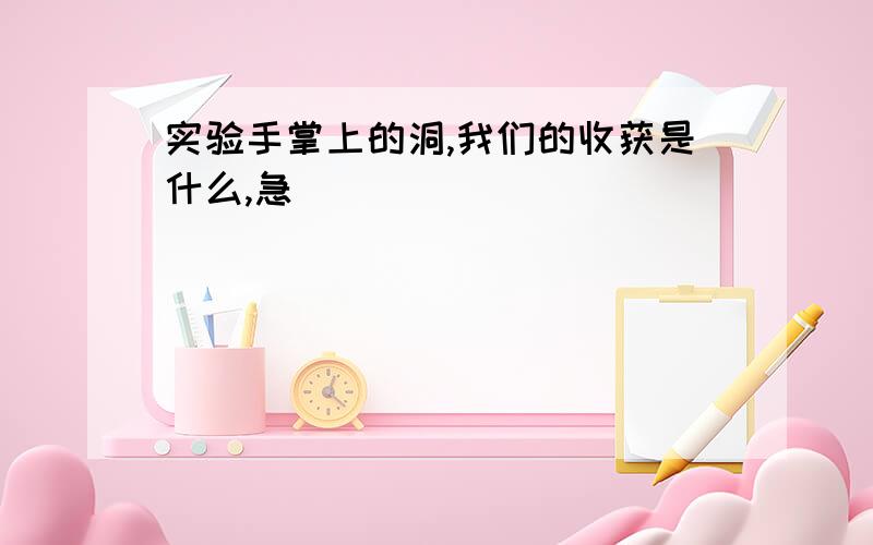 实验手掌上的洞,我们的收获是什么,急