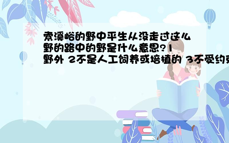 索溪峪的野中平生从没走过这么野的路中的野是什么意思?1 野外 2不是人工饲养或培植的 3不受约束的 4没礼貌的,不讲理的