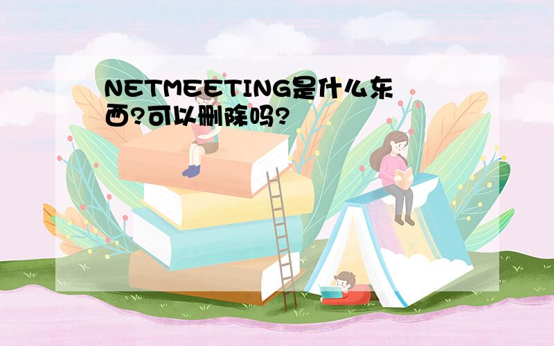 NETMEETING是什么东西?可以删除吗?