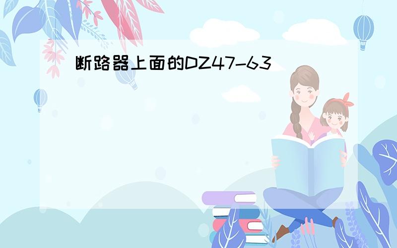 断路器上面的DZ47-63