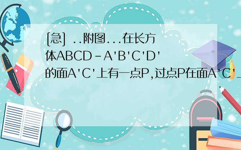 [急] ..附图...在长方体ABCD-A'B'C'D'的面A'C'上有一点P,过点P在面A'C'上画一条直线和BD平行,应当如何画?并说明理由...有图的...呃...还有一道题目...没有图的....图要自己画的...在Rt△ABC中,两直角边