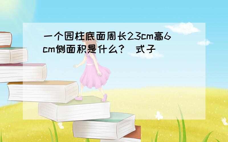 一个园柱底面周长23cm高6cm侧面积是什么?(式子)