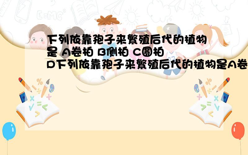 下列依靠孢子来繁殖后代的植物是 A卷柏 B侧柏 C圆柏 D下列依靠孢子来繁殖后代的植物是A卷柏       B侧柏        C圆柏        D桧柏