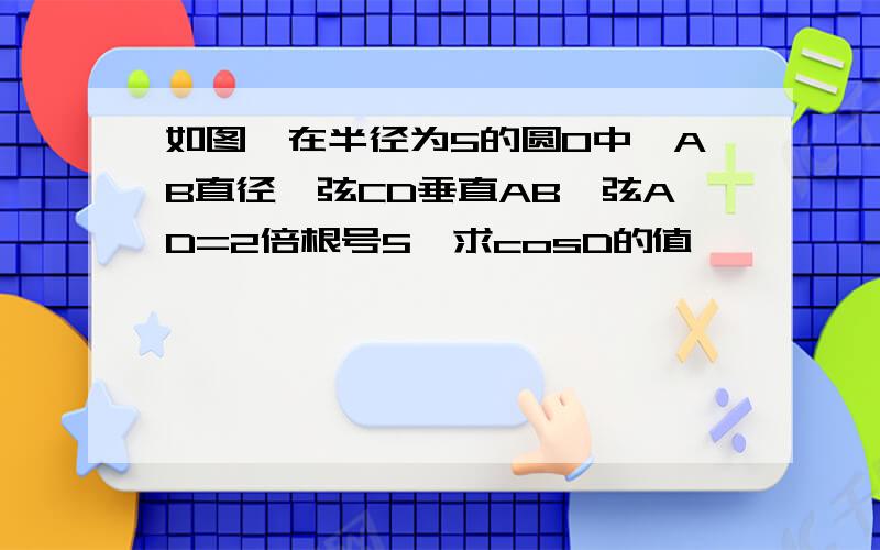 如图,在半径为5的圆O中,AB直径,弦CD垂直AB,弦AD=2倍根号5,求cosD的值