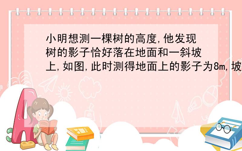 小明想测一棵树的高度,他发现树的影子恰好落在地面和一斜坡上,如图,此时测得地面上的影子为8m,坡面上的影子为4m,已知斜坡的坡度为30°,同一时刻,一根长为1m,垂直于地面放置的标杆在地面