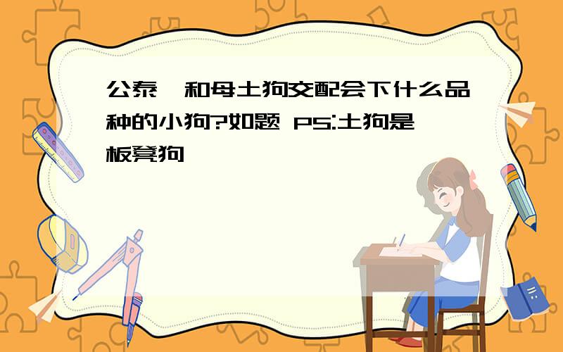 公泰迪和母土狗交配会下什么品种的小狗?如题 PS:土狗是板凳狗