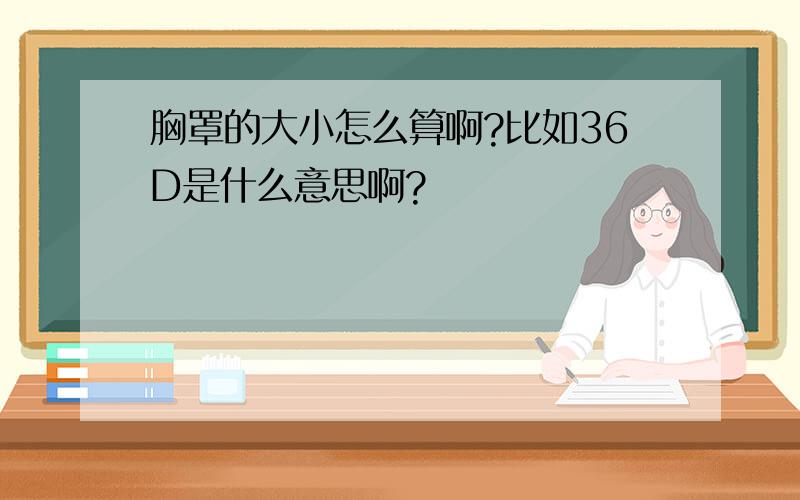 胸罩的大小怎么算啊?比如36D是什么意思啊?