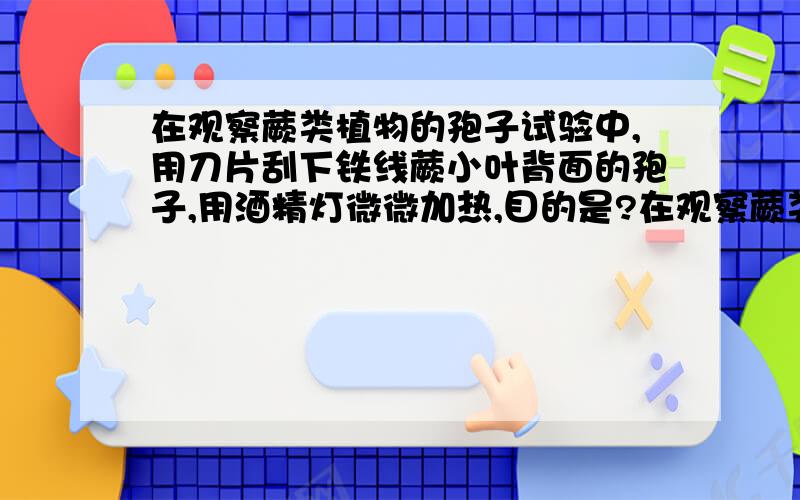 在观察蕨类植物的孢子试验中,用刀片刮下铁线蕨小叶背面的孢子,用酒精灯微微加热,目的是?在观察蕨类植物的孢子试验中,用刀片刮下铁线蕨小叶背面的部分褐色隆起,该隆起叫——————,