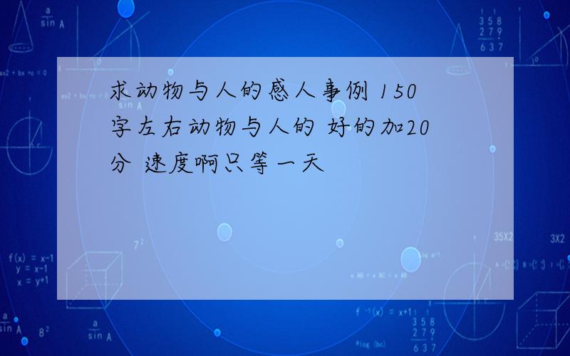 求动物与人的感人事例 150字左右动物与人的 好的加20分 速度啊只等一天