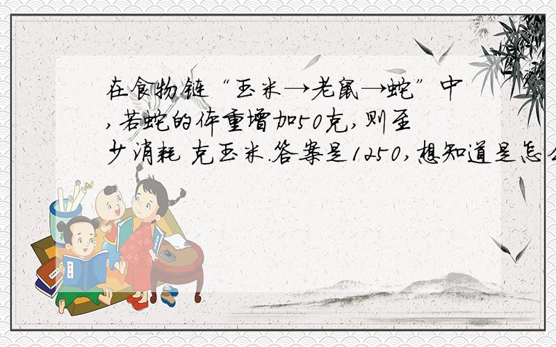 在食物链“玉米→老鼠→蛇”中,若蛇的体重增加50克,则至少消耗 克玉米.答案是1250,想知道是怎么求的