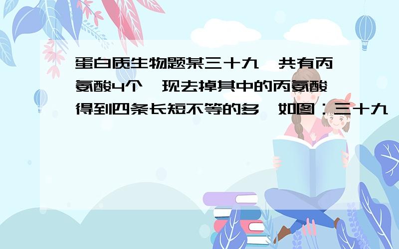 蛋白质生物题某三十九肽共有丙氨酸4个,现去掉其中的丙氨酸得到四条长短不等的多肽如图：三十九肽 1——————————————391——719———269————1728——————38为什么会