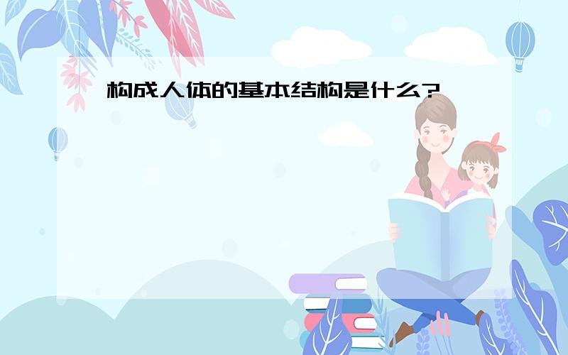 构成人体的基本结构是什么?